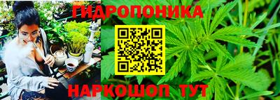 дживик Берёзовский