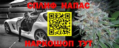 дживик Берёзовский