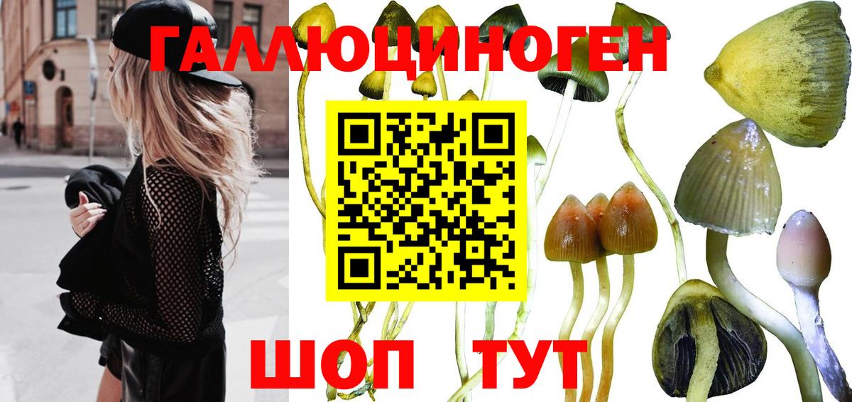 Псилоцибиновые грибы прущие грибы Урюпинск