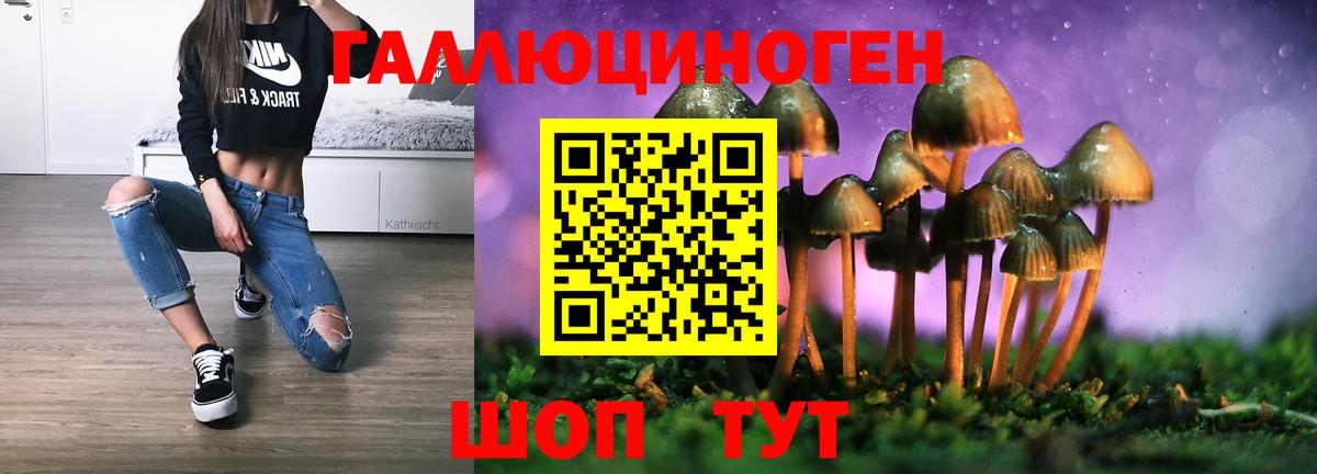 сколько стоит  Псилоцибиновые грибы Psilocybine cubensis  Вход с VPN  Урюпинск 